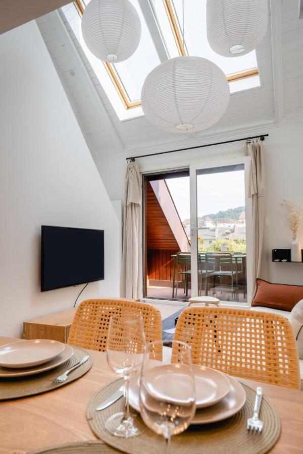 Le Duplex Vaugelas Atypique En Plein Centre Ville アヌシー エクステリア 写真