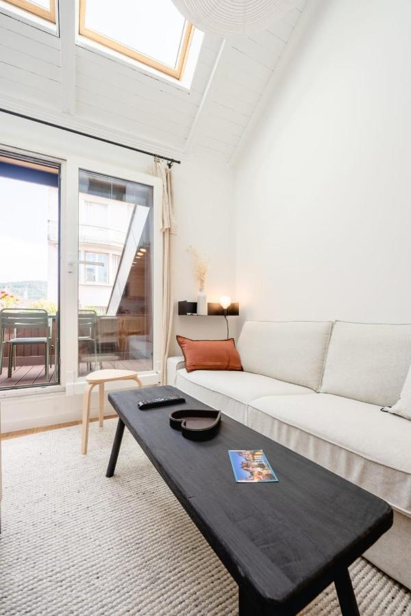 Le Duplex Vaugelas Atypique En Plein Centre Ville アヌシー エクステリア 写真
